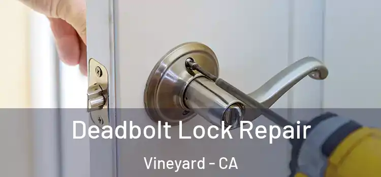  Deadbolt Lock Repair Vineyard - CA