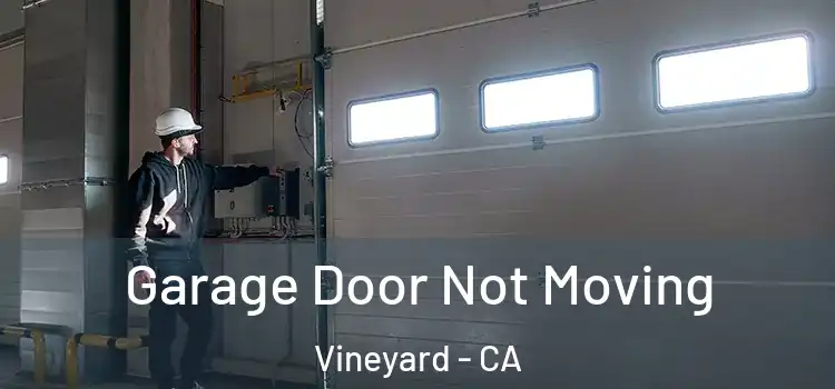 Garage Door Not Moving Vineyard - CA