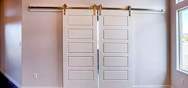 Glass Barn Door with Installation Hardware Kit Vineyard
