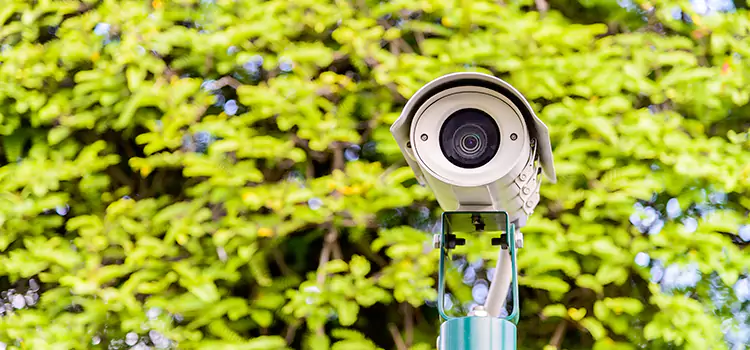 Advanced Surveillance Solutions for Every Need in Vineyard