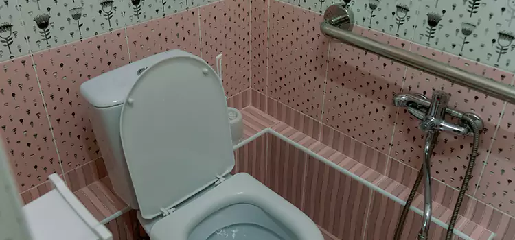 Meeting Diverse Needs With Accessible Restroom Solutions in Vineyard, CA
