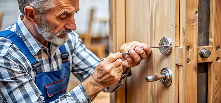 Mortise Replacement Lock Vineyard