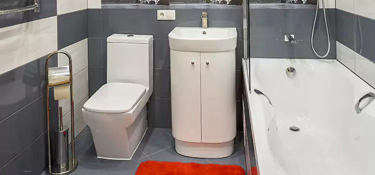 Hansgrohe Shaving Mirror Vineyard