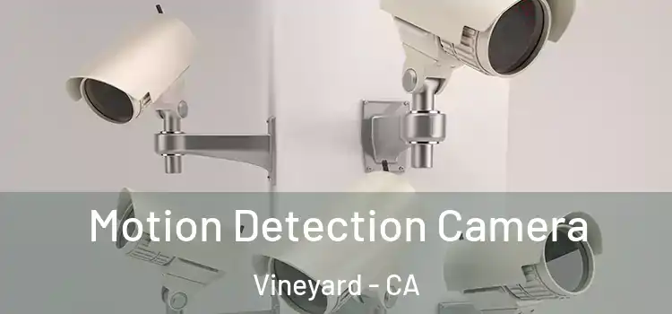  Motion Detection Camera Vineyard - CA